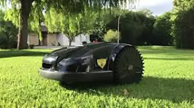 Wombat mower, lawn
